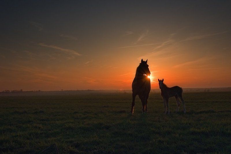 На закате 2 фото превью