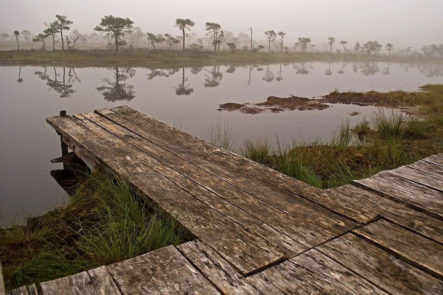 , Игорь Вишняков