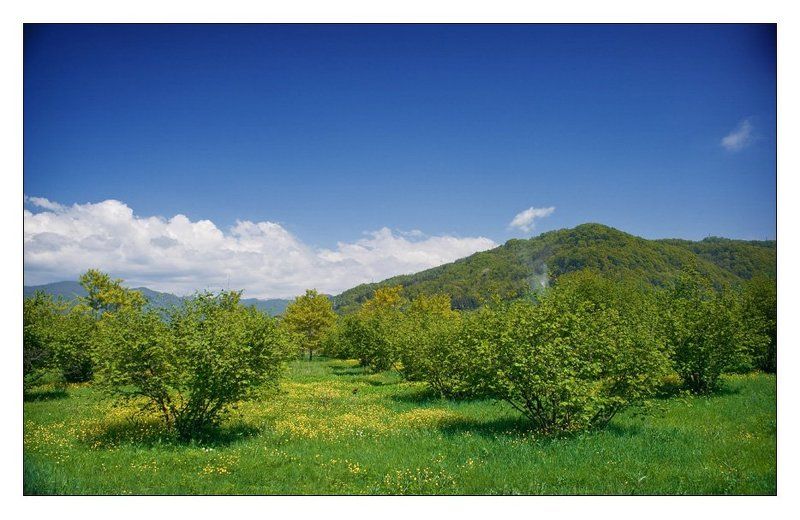 весна, май, горы, сочи 1 May фото превью