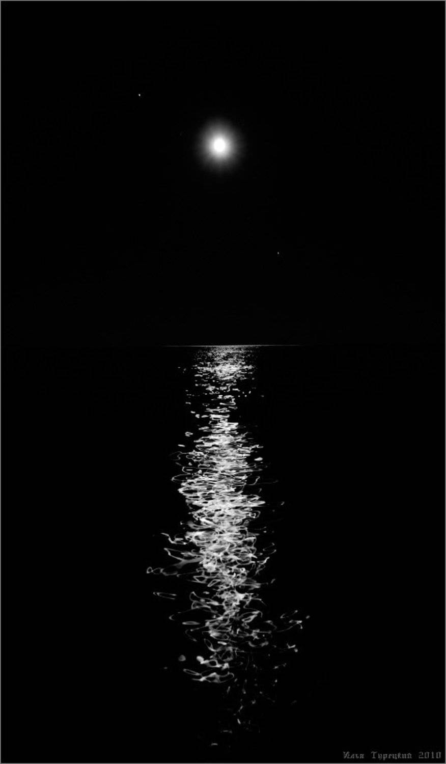 лунная, дорожка, Илья Турецкий