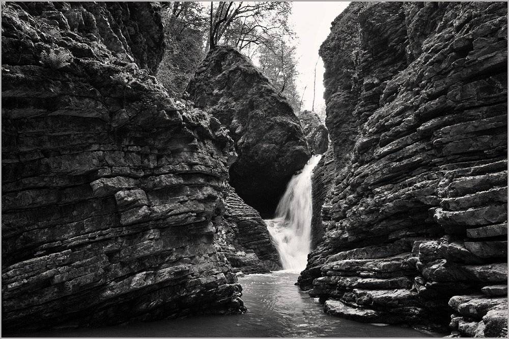 , Борис Пирог