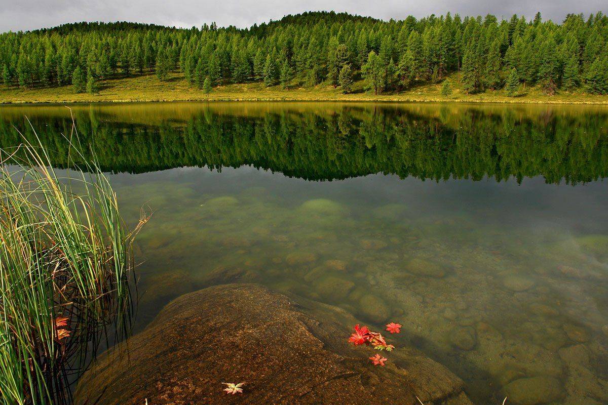 горный, алтай, горы, озеро, Наталья Кайзер