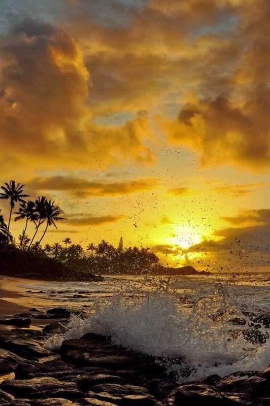 станко, рассвет, море, небо, гавайские, острова Рассвет на Wailua Beach фото превью