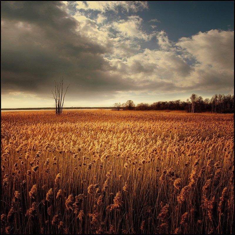 ... фото превью