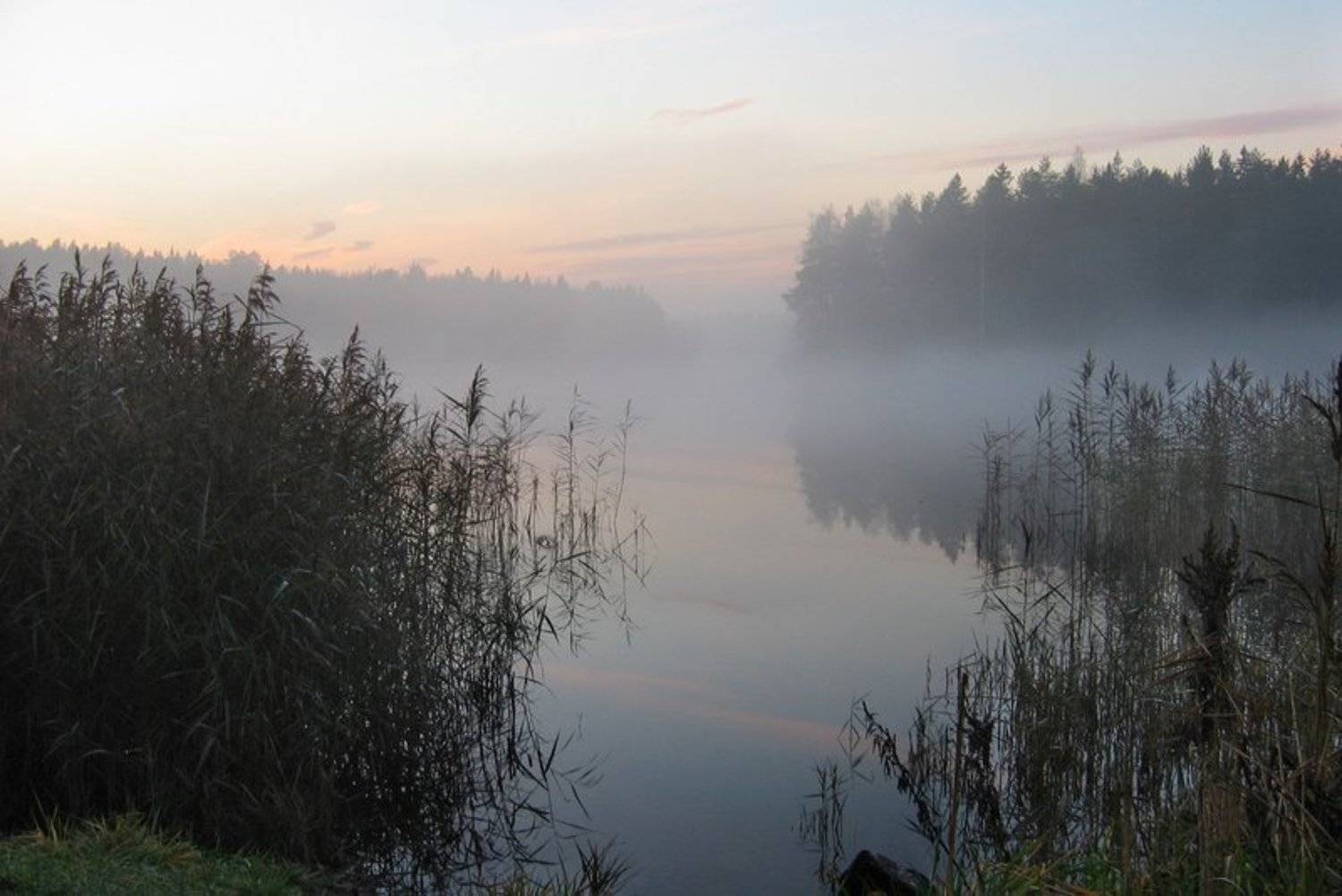 туман, озеро, Света и Вася