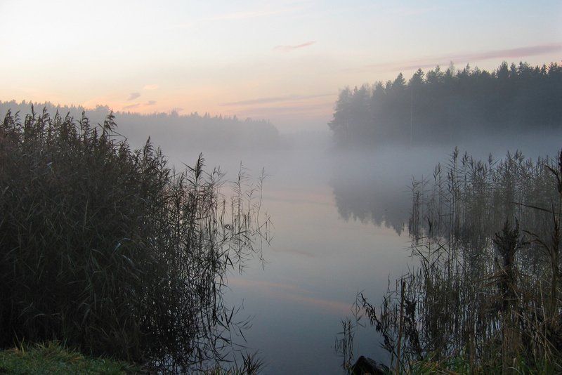 Вечерело... фото превью