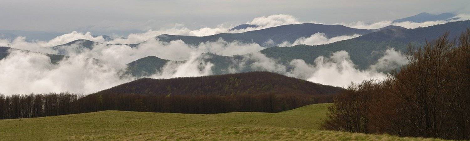 карпаты, боржава, Александр Ящук
