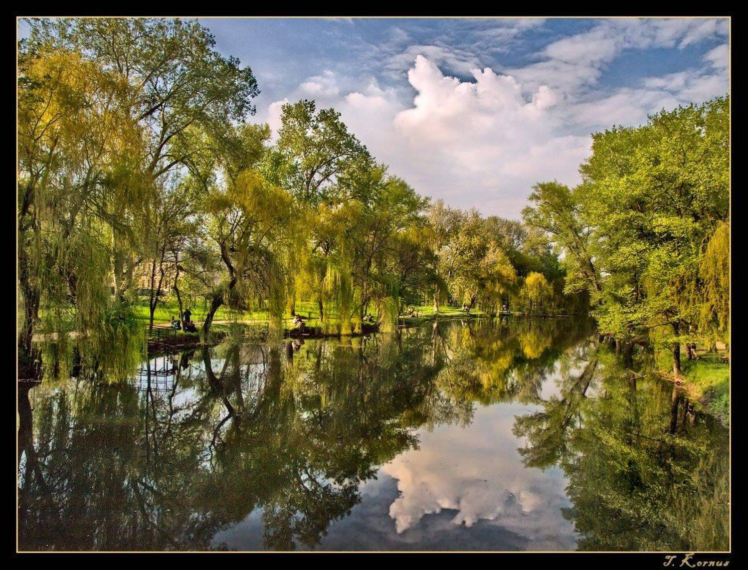 запорожье,парк,весна,май, Татьяна Корнус