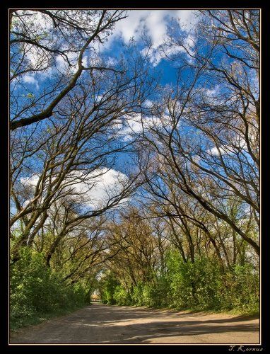 Шатёр из кружева