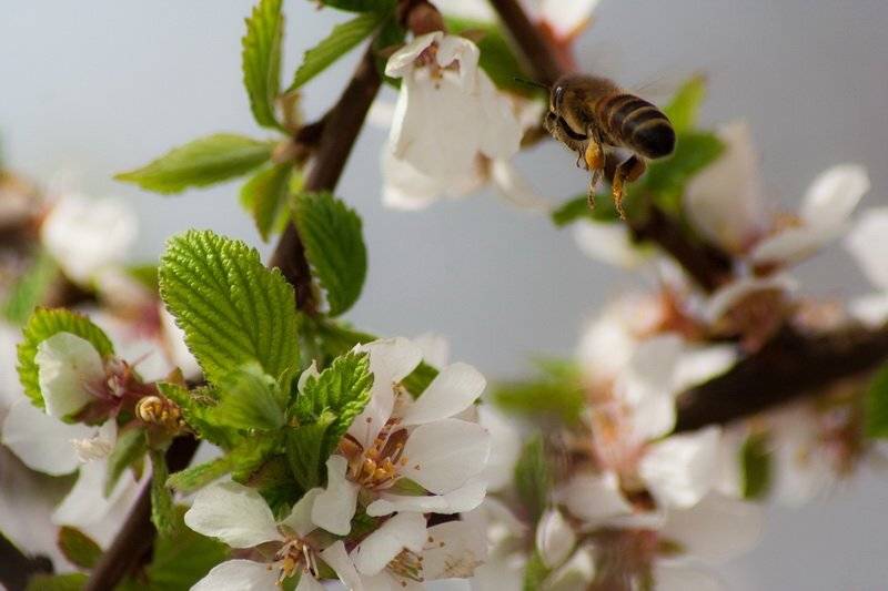 , Павел Лялин