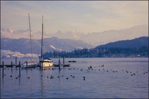 Зимний заплыв