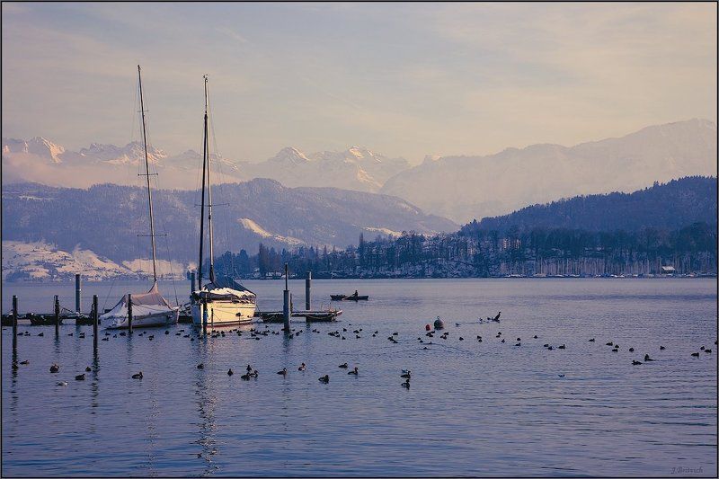 зимний, заплыв Зимний заплыв фото превью