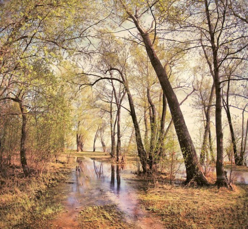 сказки на день.... ) фото превью