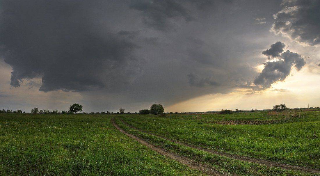 , Михаил Мочалов