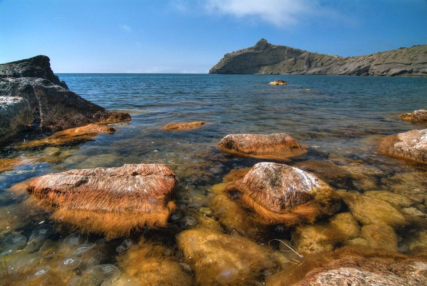 крым , море , новый свет, Алексей