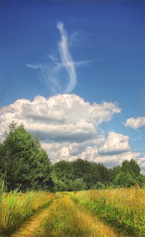 луг, лес, небо, облака Жаркий денёк. фото превью