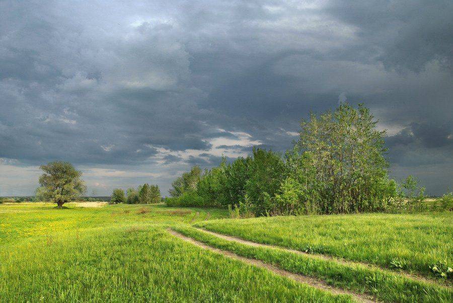 , Михаил Мочалов