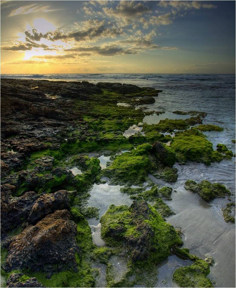 , Александр Беляев