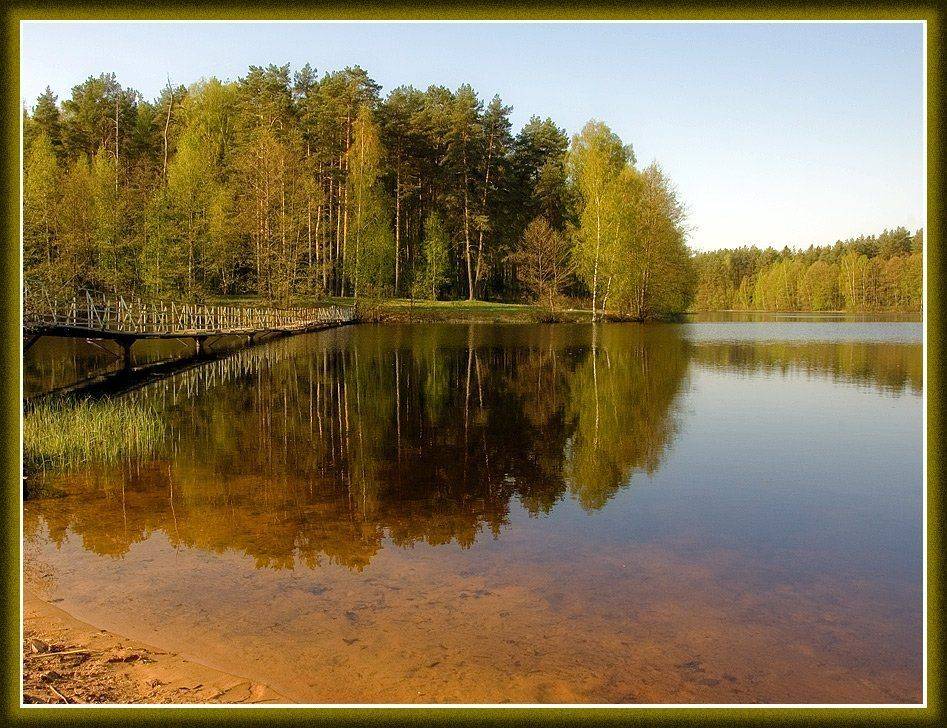 , Октай Гусейнов