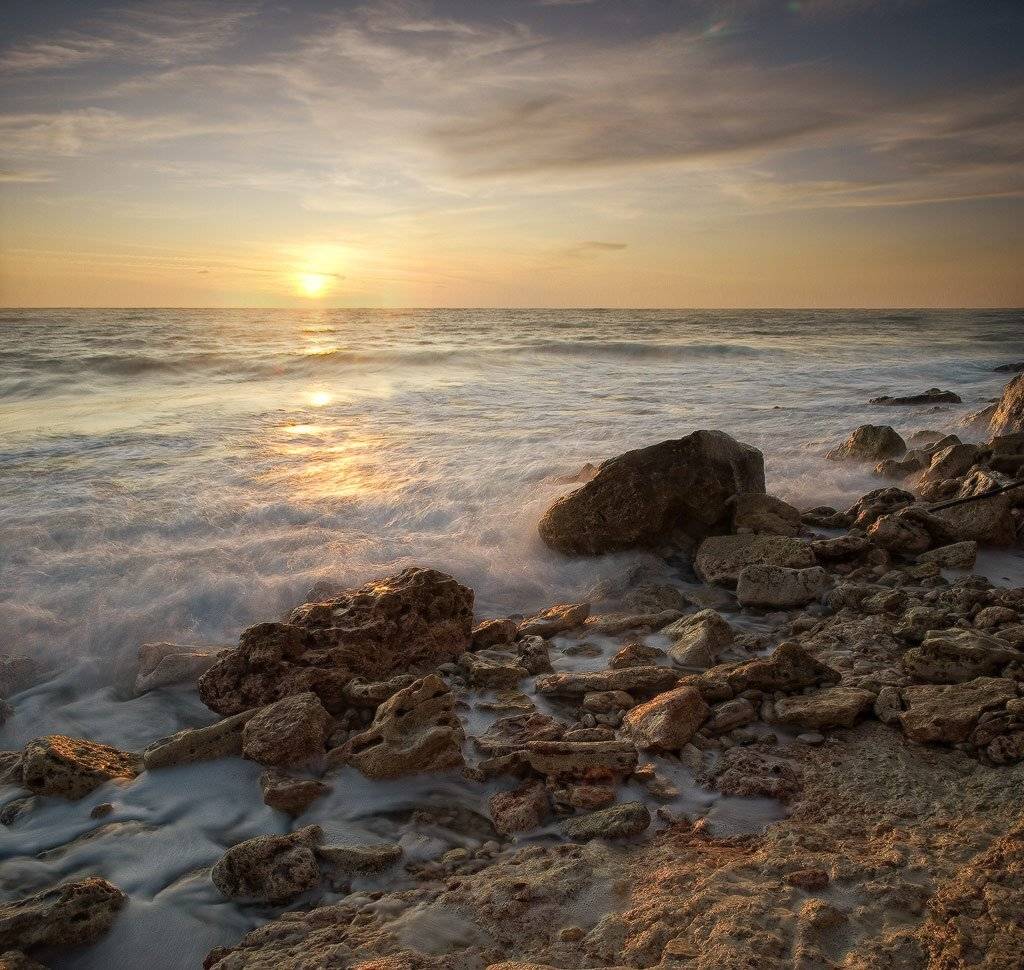 , Яна  Гайворонская