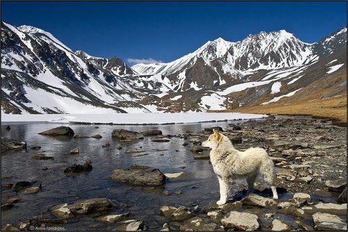 Хозяйским взглядом