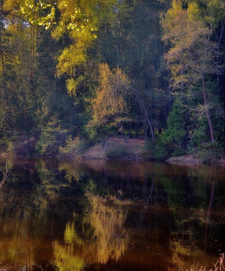 , Октай Гусейнов