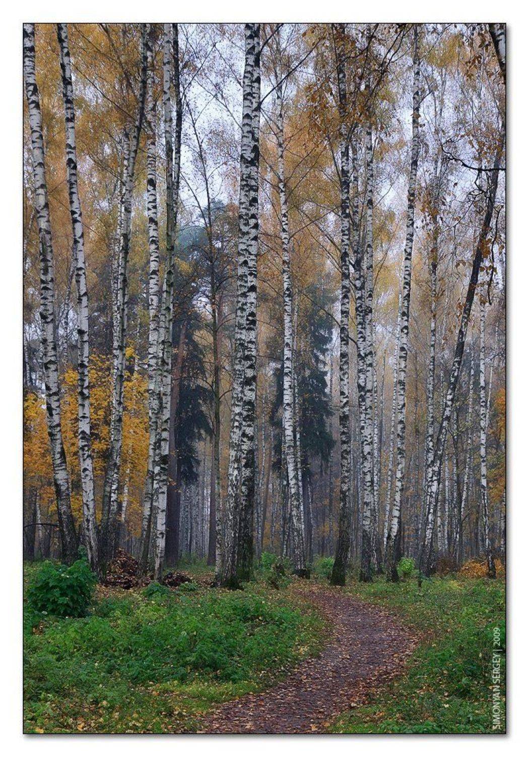 , Симонян Сергей