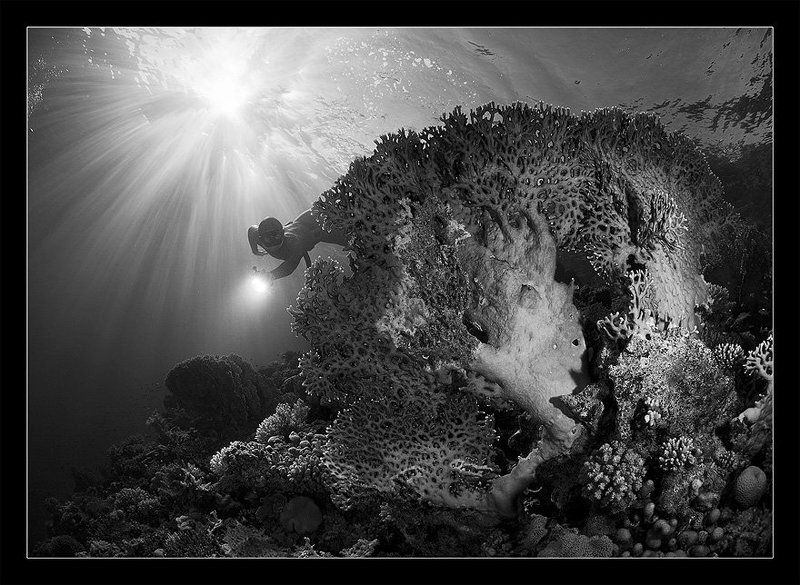 explorer, sea, free, dahab Explorer 2 фото превью