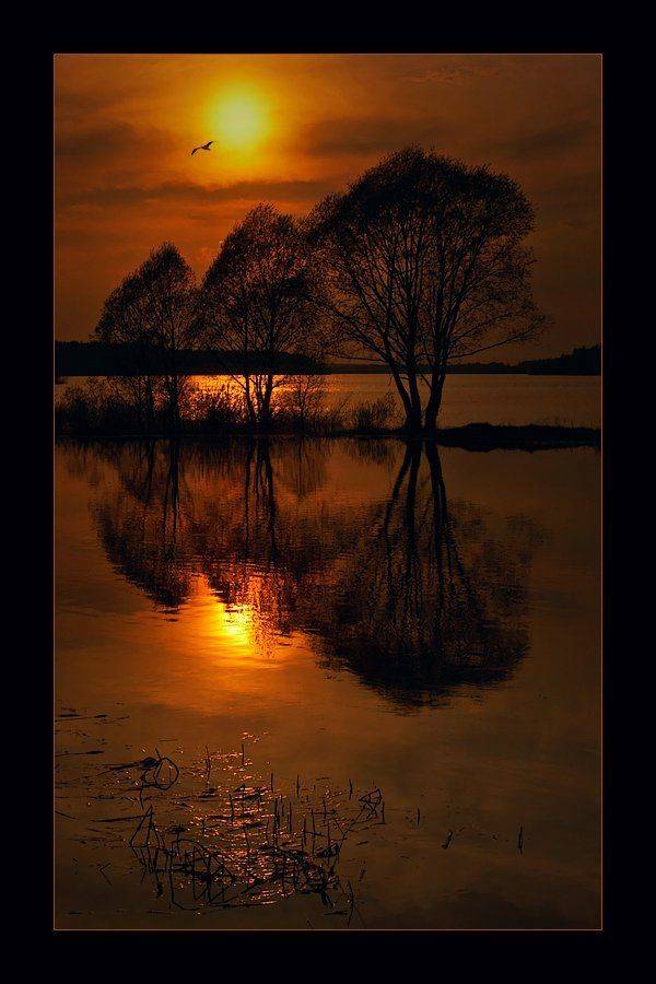 озеро, вечер, закат, отражения, острова, пейзаж, деревья, лодка, Oleg Dmitriev