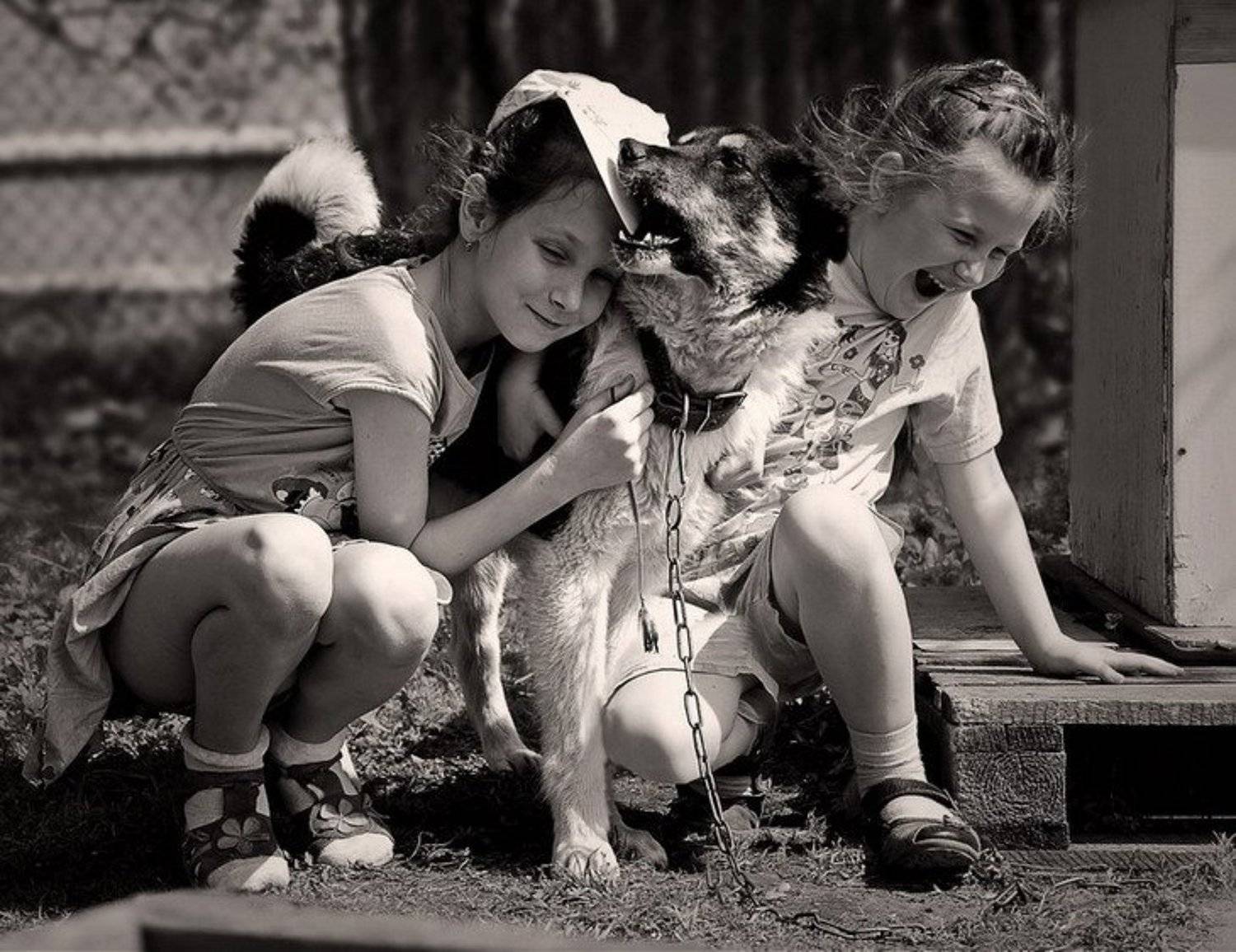 , Тарасова Катя