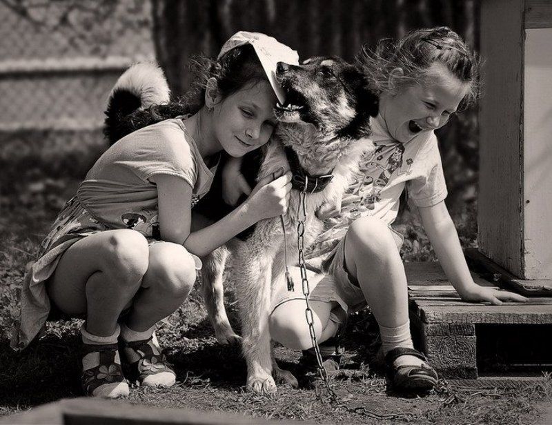 *** фото превью