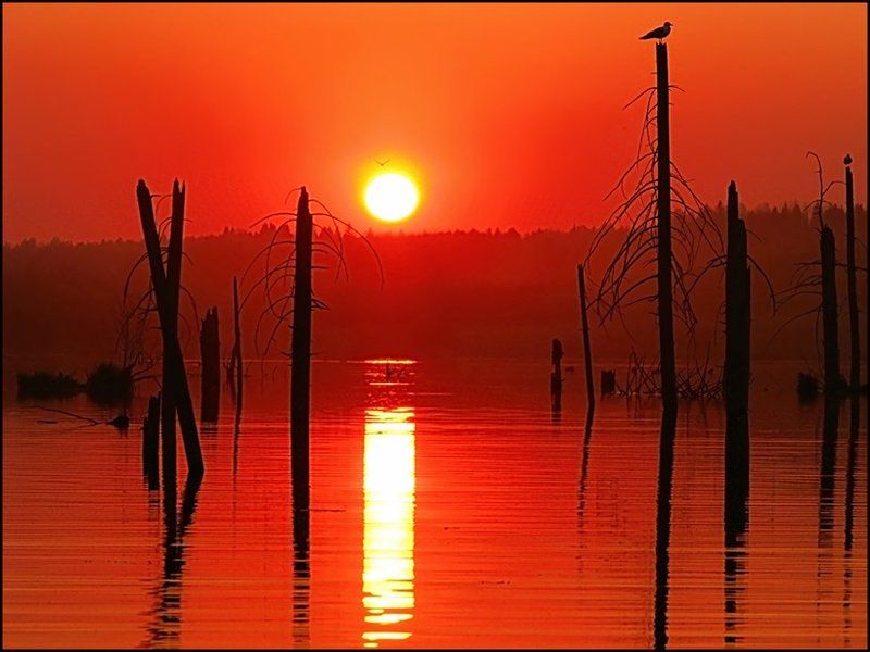 закат,небо,пейзаж,пруд,удмуртия Red Planet фото превью