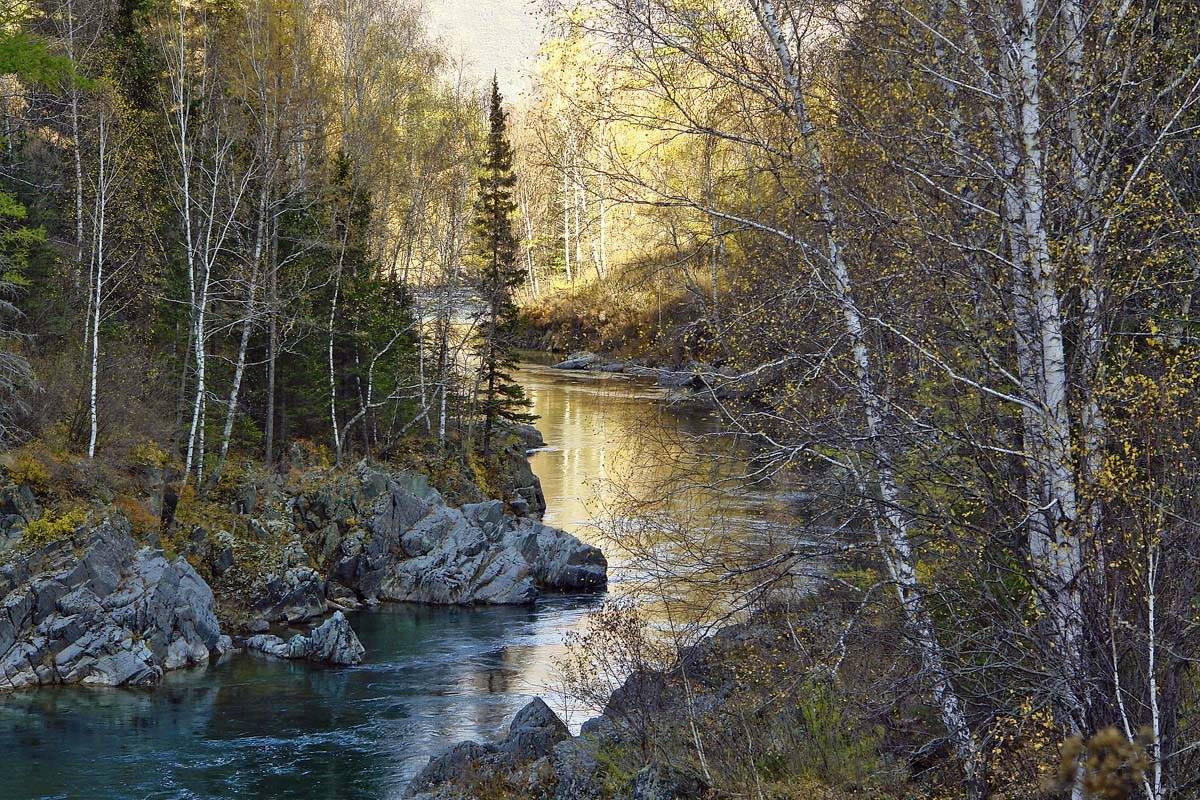 горный, алтай, утро, река, Наталья Кайзер