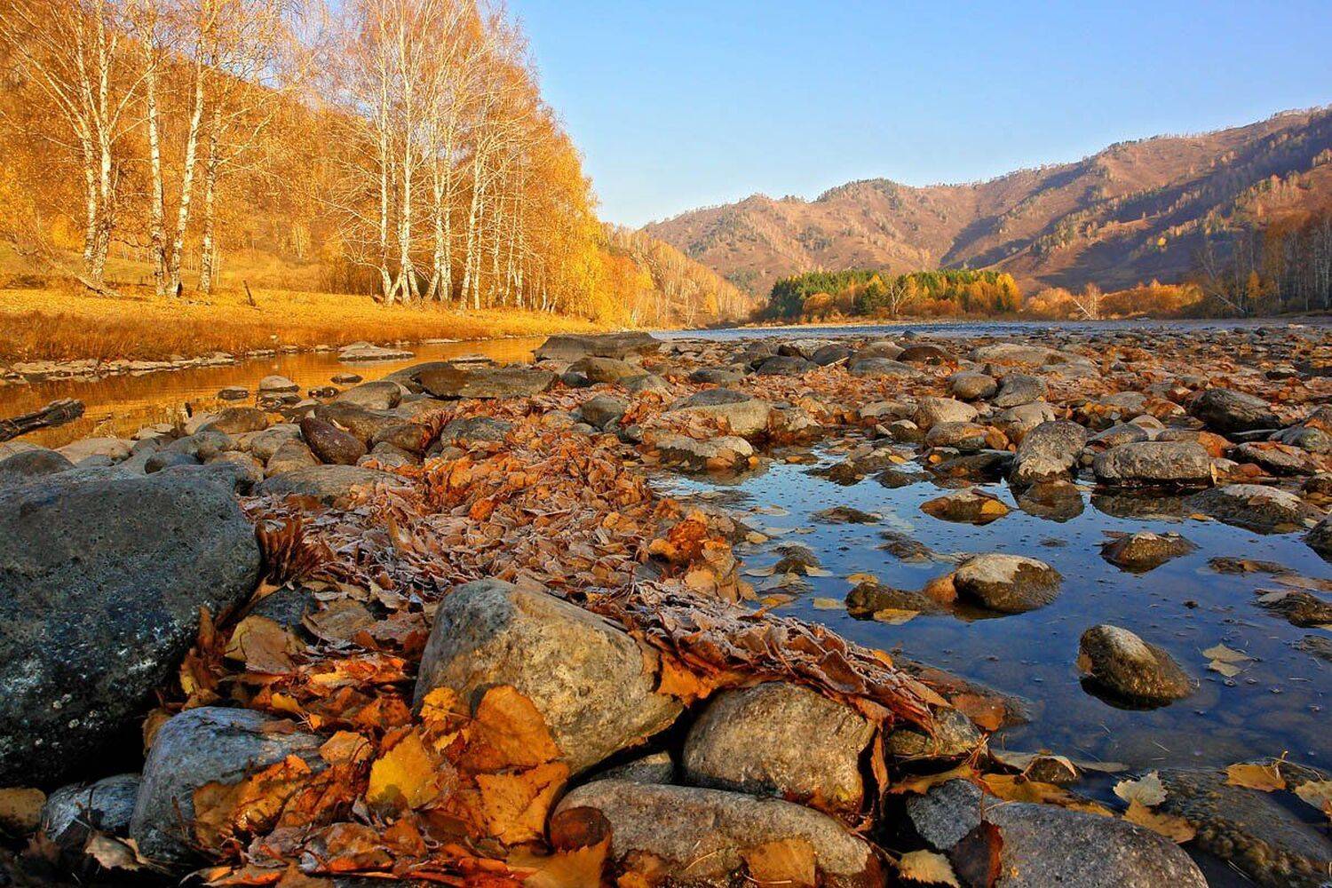 алтай, горы, осень, река, Наталья Кайзер