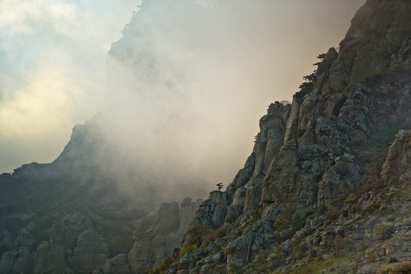 .... фото превью