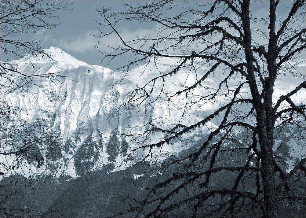 горы, Тарасов Алексей