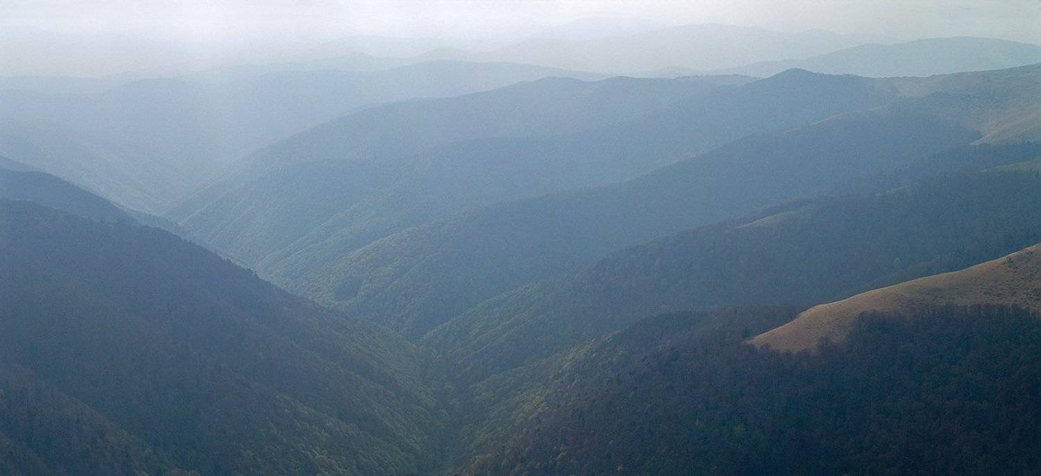 карпаты, боржава, Александр Ящук