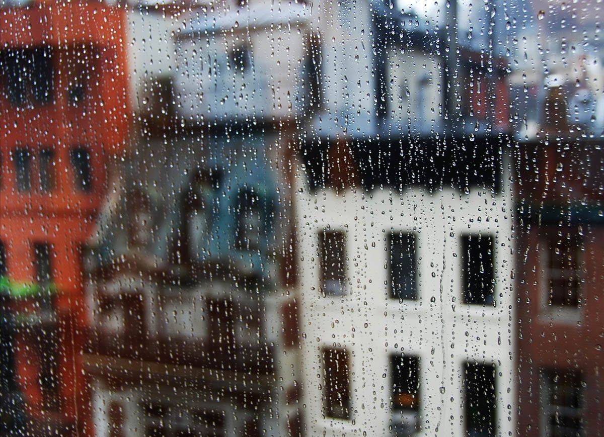 nyc, new york, moma, Maria Bulycheva