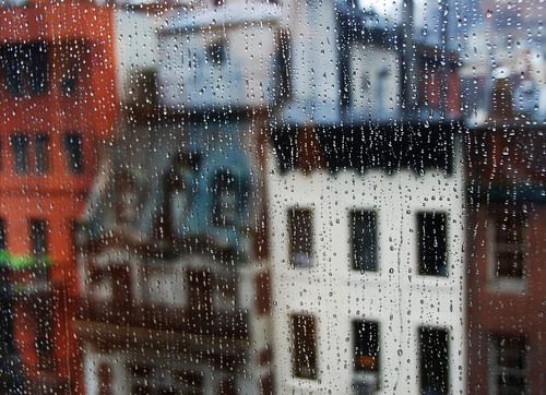 Tears of New York