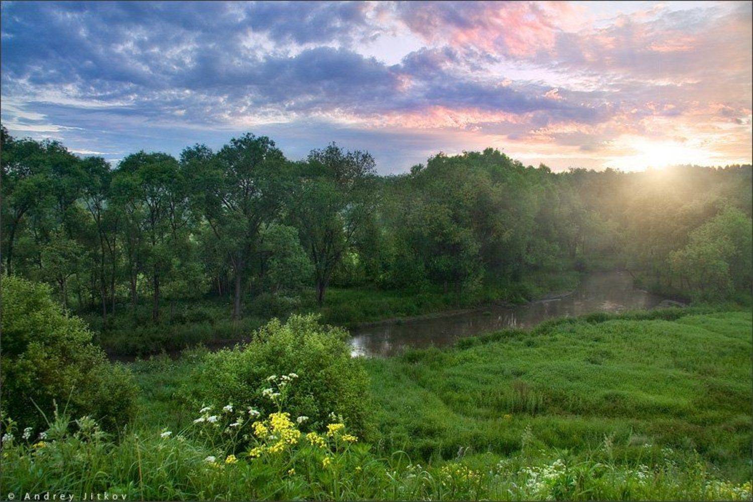 , Андрей Житков