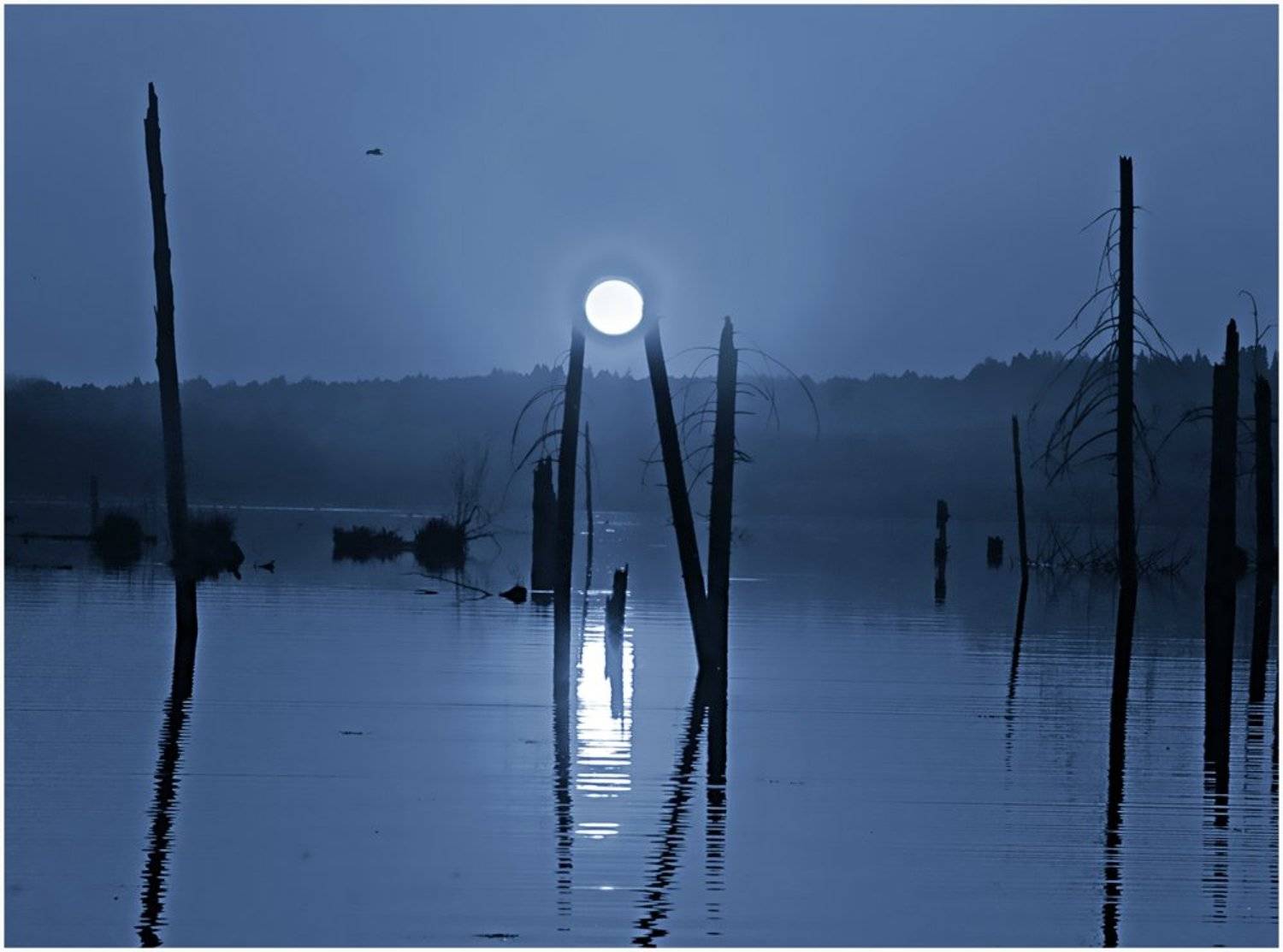 пейзаж,пруд,коллаж,туман, Андрей,любитель 35photo