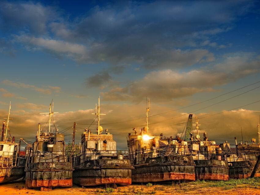 пейзаж, николай дмитрук