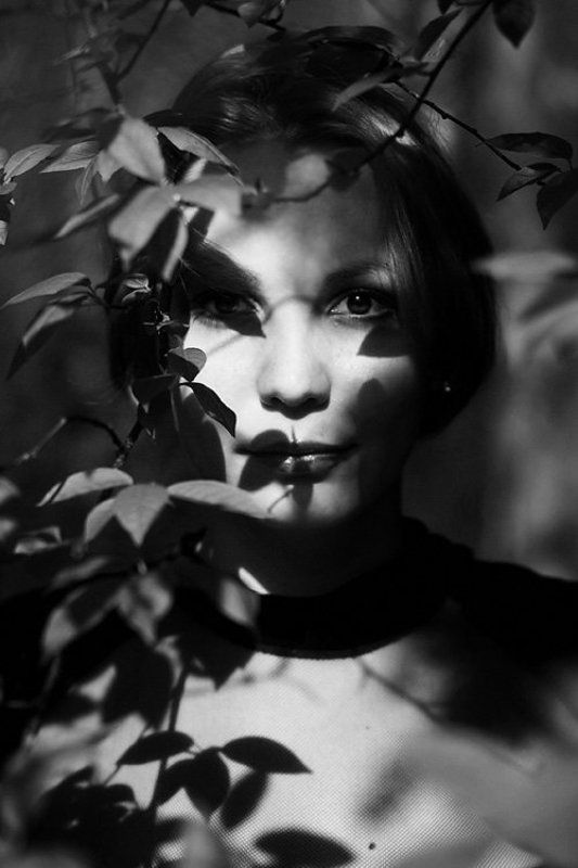 silence фото превью