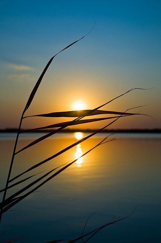 крым, евпатория, мойнаки, закат Лаконичное фото... фото превью