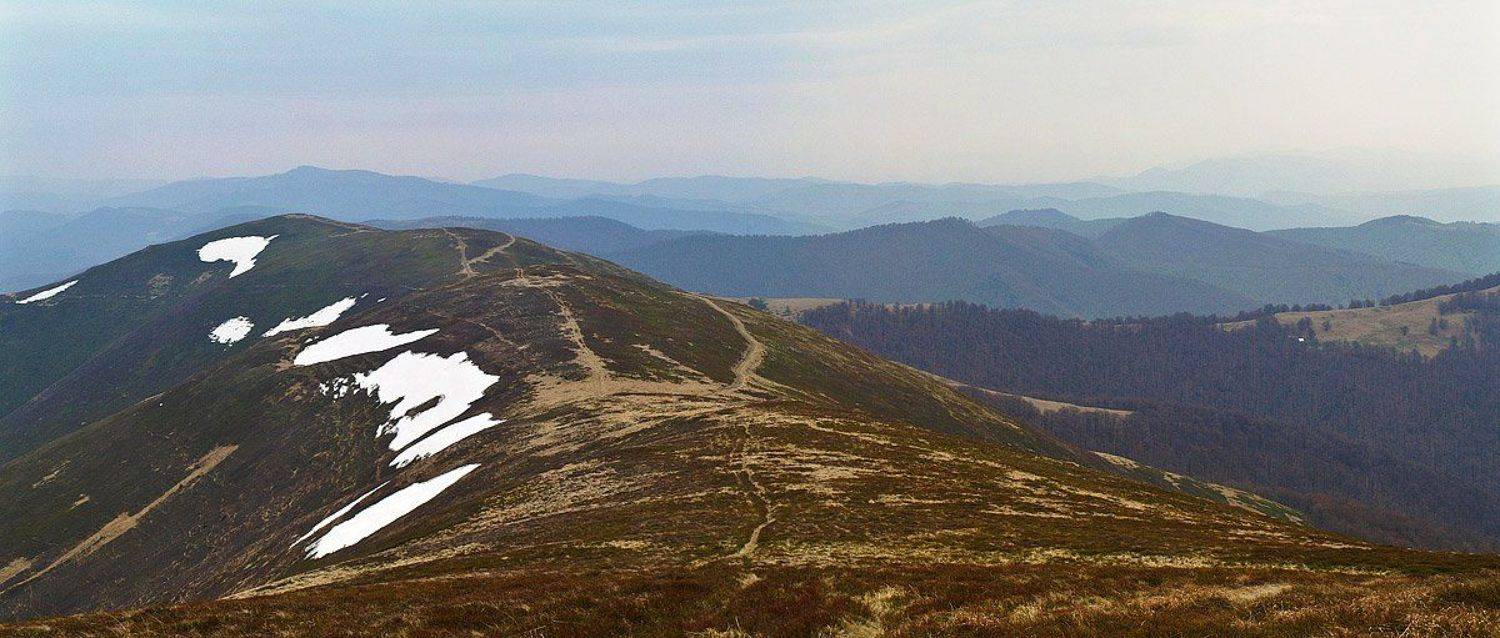 , Александр Ящук