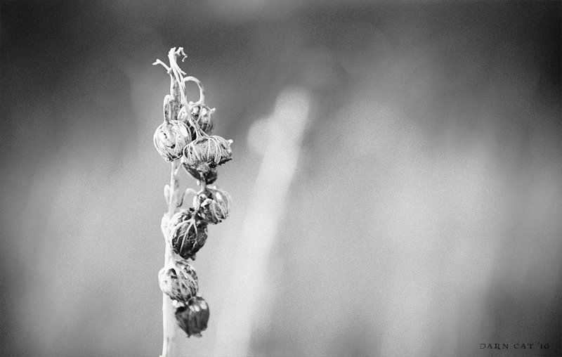 my, feelings, of, this, moment My feelings of this moment.. фото превью