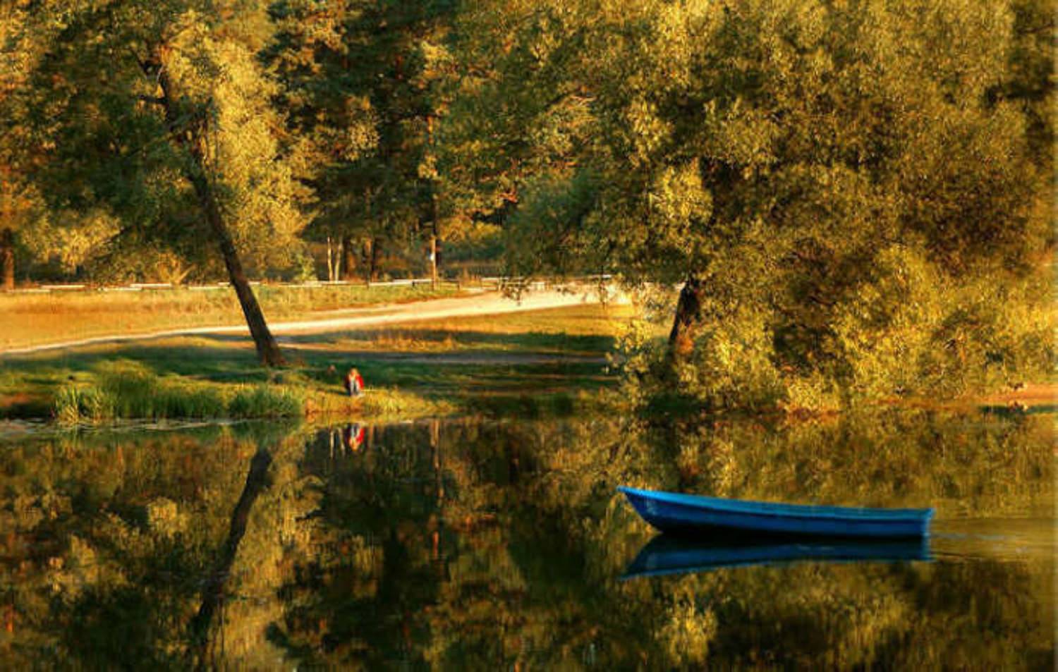 , &bull;**/ASSOL**&bull;