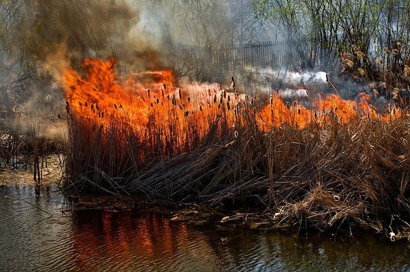 инь-ян фото превью