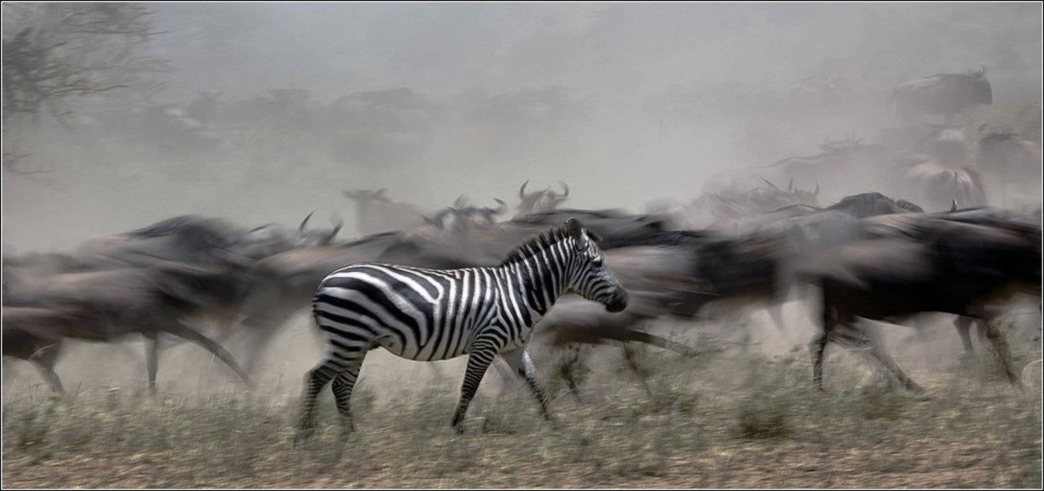 , Игорь Гущин