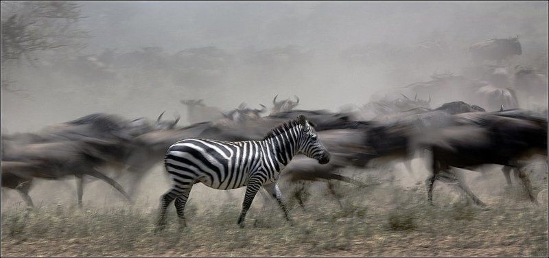 О разном... фото превью